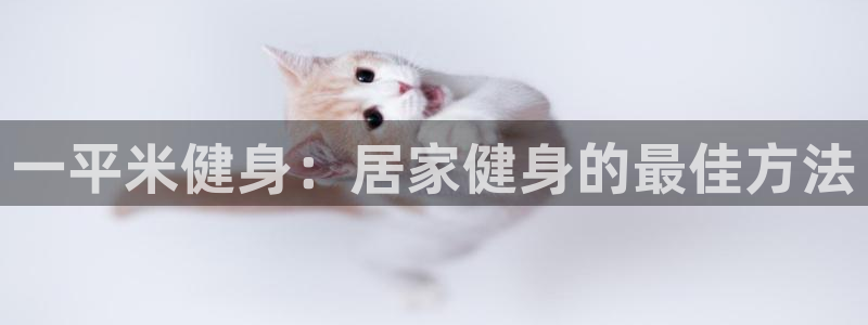 龙8国际老虎机娱乐