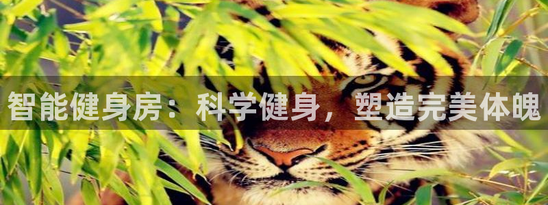 龙8游戏官方网站p