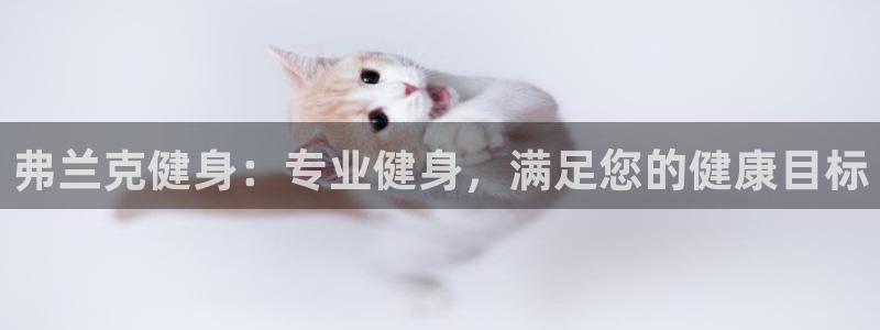 龙8国际官网多少