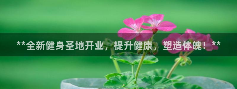 龙8国际官方网站-龙8国际pt老虎机