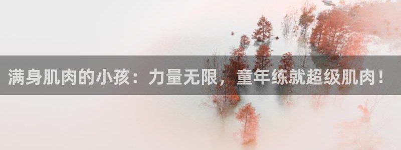 龙8游戏平台的网站