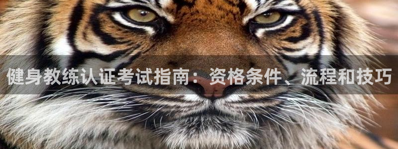 龙8国际官方下载