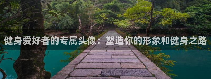 龙八国际pt