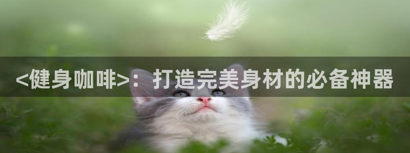 龙8国际网页登陆