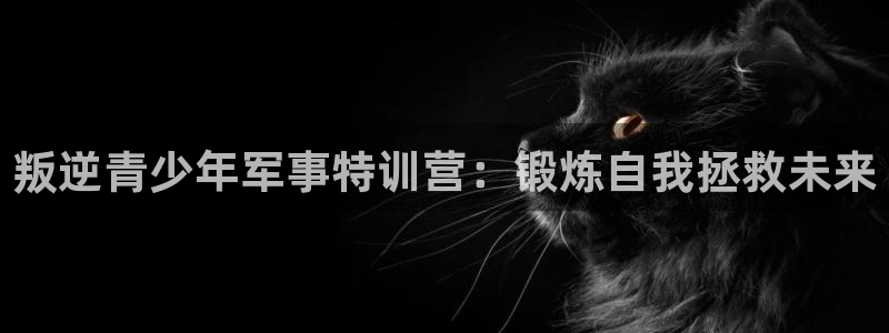 龙8国际2021官方网站pkufli1.291
