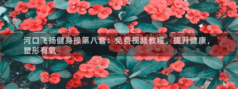 龙8国际怎么样