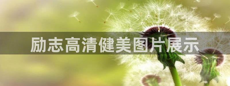 龙8国际官网版玩法